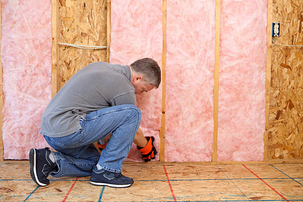 Types of Insulation We Offer in Port Hueneme, CA